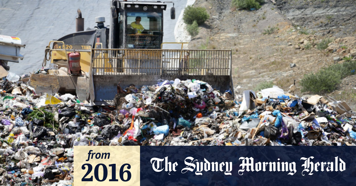 EPA gives 16,000 fine after amputated legs dumped at rubbish tip